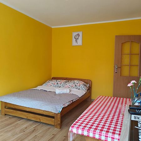 Apartament U Alicji 吉日茨科 外观 照片