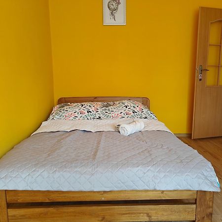 Apartament U Alicji 吉日茨科 外观 照片